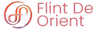 Flint De Orient: Innovating Your Digital Future